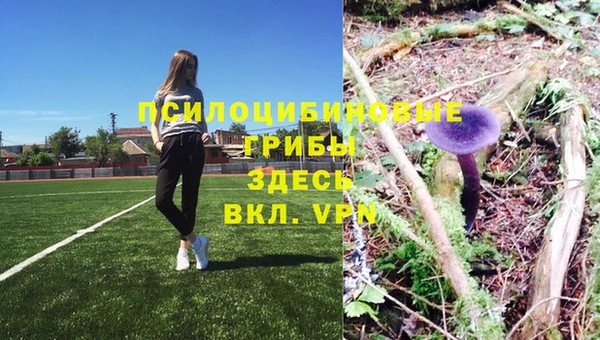 каннабис Инсар