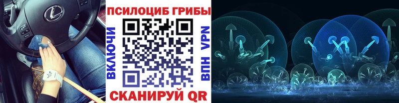 Галлюциногенные грибы Cubensis  Купить  Реутов 